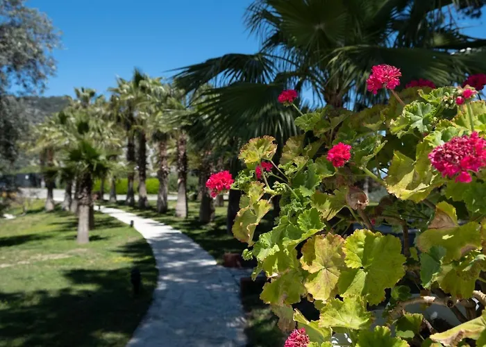 X Life Hotel Sarıgerme 15 - Adult Hotel